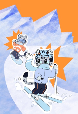 SKITAIL