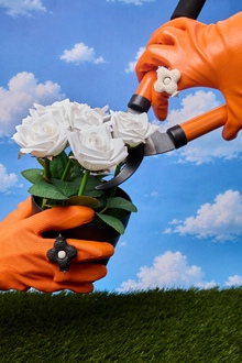 GARDENCORE GARDENCORE