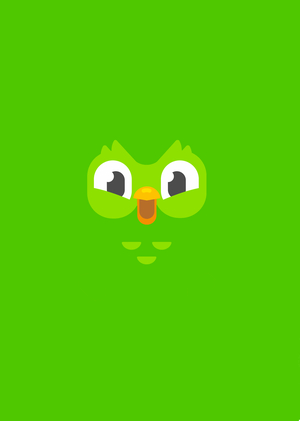 "Duolingo": A Brand Communication Analysis
