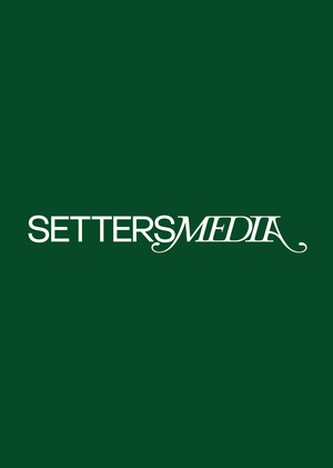 Analysis of the Setters Media brand communication strategy