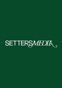 Analysis of the Setters Media brand communication strategy Analysis of the Setters Media brand communication strategy
