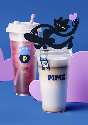 Visual and PR Communication of the PIMS Brand