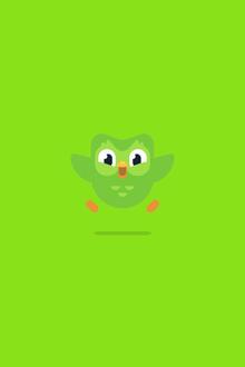 Duolingo: Communication as&nbsp;a&nbsp;System of&nbsp;Images