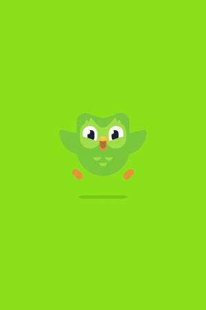 Duolingo: Communication as a System of Images