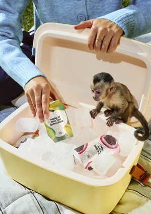 Monkey buffet festival