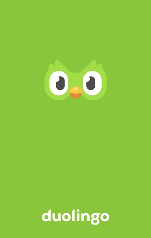A Theoretical Analysis of Duolingo’s Visual Communication