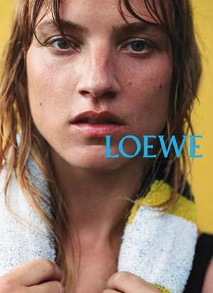 Communication Strategies of Loewe