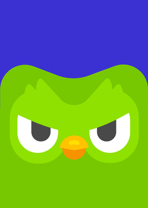 Analysis of Duolingo brand communications