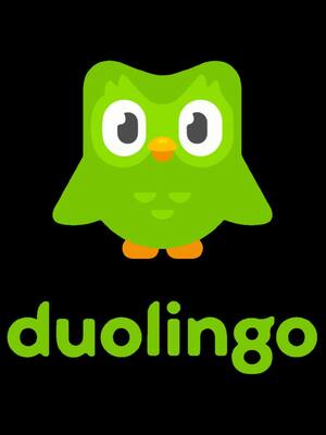 Communication Strategies of Duolingo