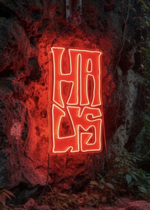 HAUS craft drinks