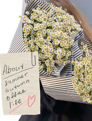 About life/ capsule womenswear collection
