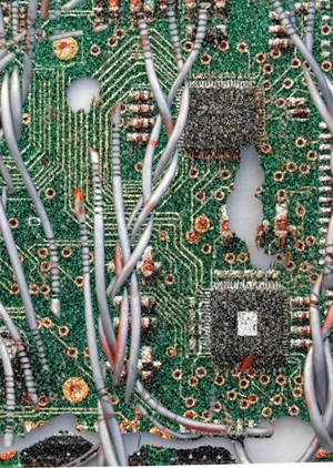 Between Root and Wire