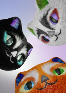QUANTUM CAT