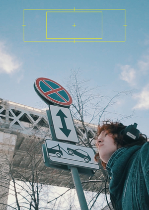 короткий метр SILENT ISLAND