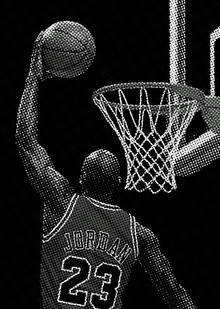 Анатомия игроков NBA