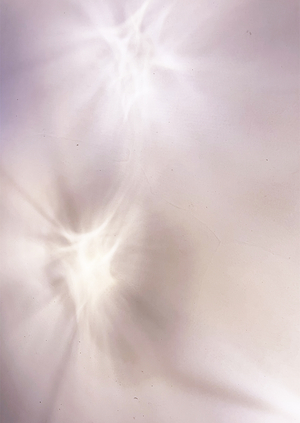 UNNAMED IDENTITY
