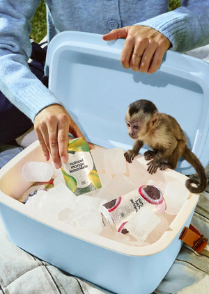 Monkey buffet festival