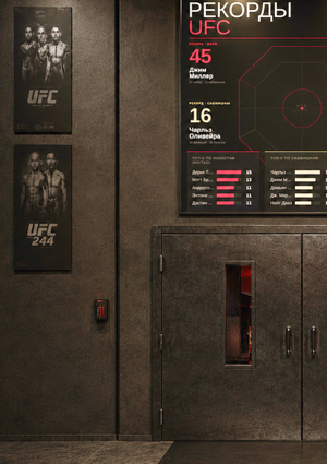 Рекорды UFC