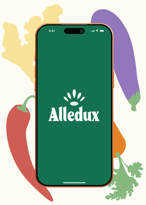 Приложение Alledux