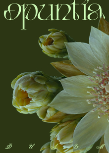 Фильм по&nbsp;мотивам шрифта Opuntia
