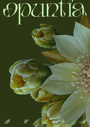 Фильм по мотивам шрифта Opuntia