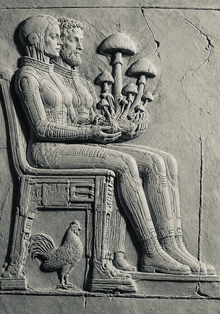 Аманита Алая Аманита Алая