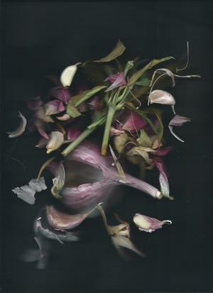 Урожай света