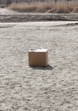 что случилось с золотым человеком?