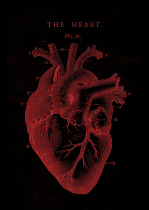 Heart signals