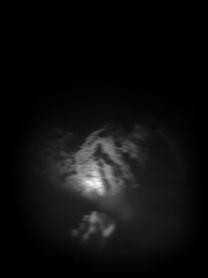 loparite