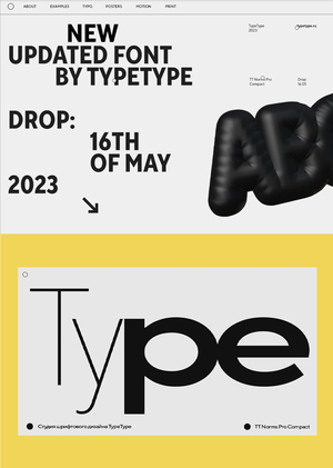 Landing page for TypeType