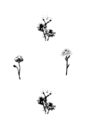 Petalfall