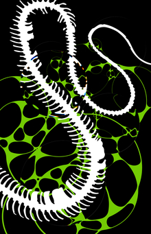 Snake craft beer