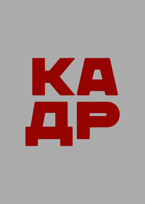 КАДР | отчет по практике