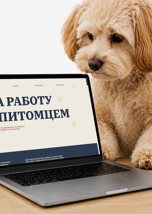 Лонгрид для коворкинга с животными «PawSpace»
