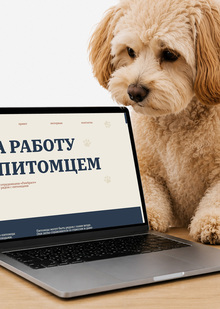 Лонгрид для коворкинга с&nbsp;животными «PawSpace»