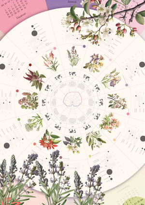 Инфографический календарь