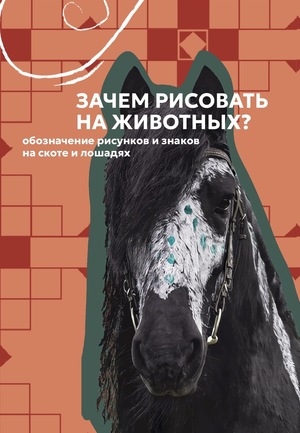 Зачем рисовать на животных? Лонгрид для конного лагеря «В такт сердцу»