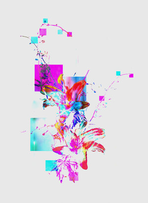 ID agency