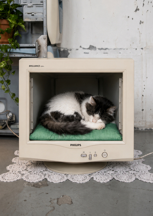 Мебель из техногенного мусора E-WASTE