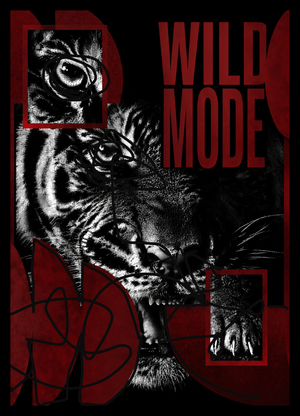 WILD MODE- Ивент агенство