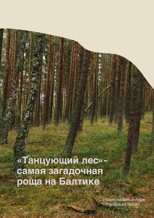 Ребрендинг национального парка «Куршская коса»