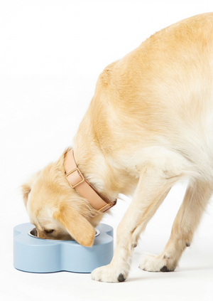 annki for pets