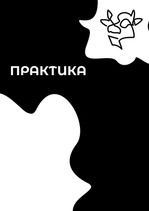 Отчёт о практике
