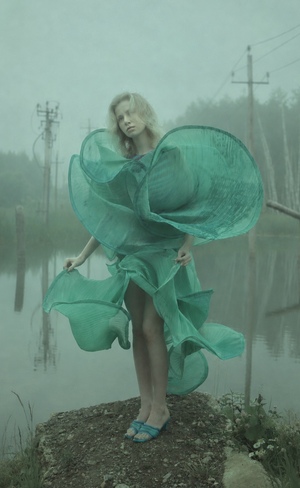 Teal Toxins