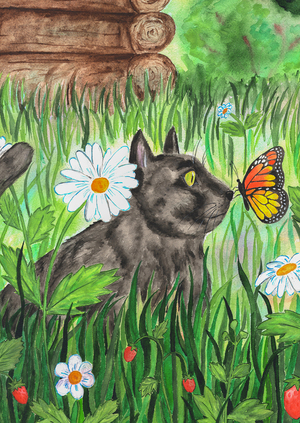 Котодачник