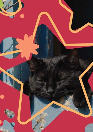 Flaff