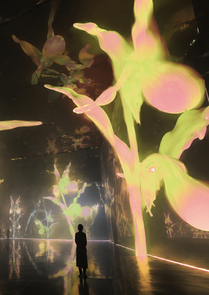 Flora Obscura