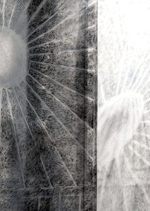 Графика «back side of&nbsp;the spaces»