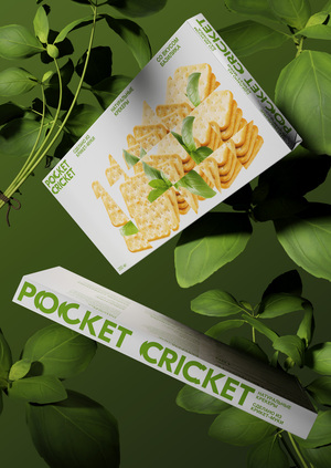 Pocket Cricket